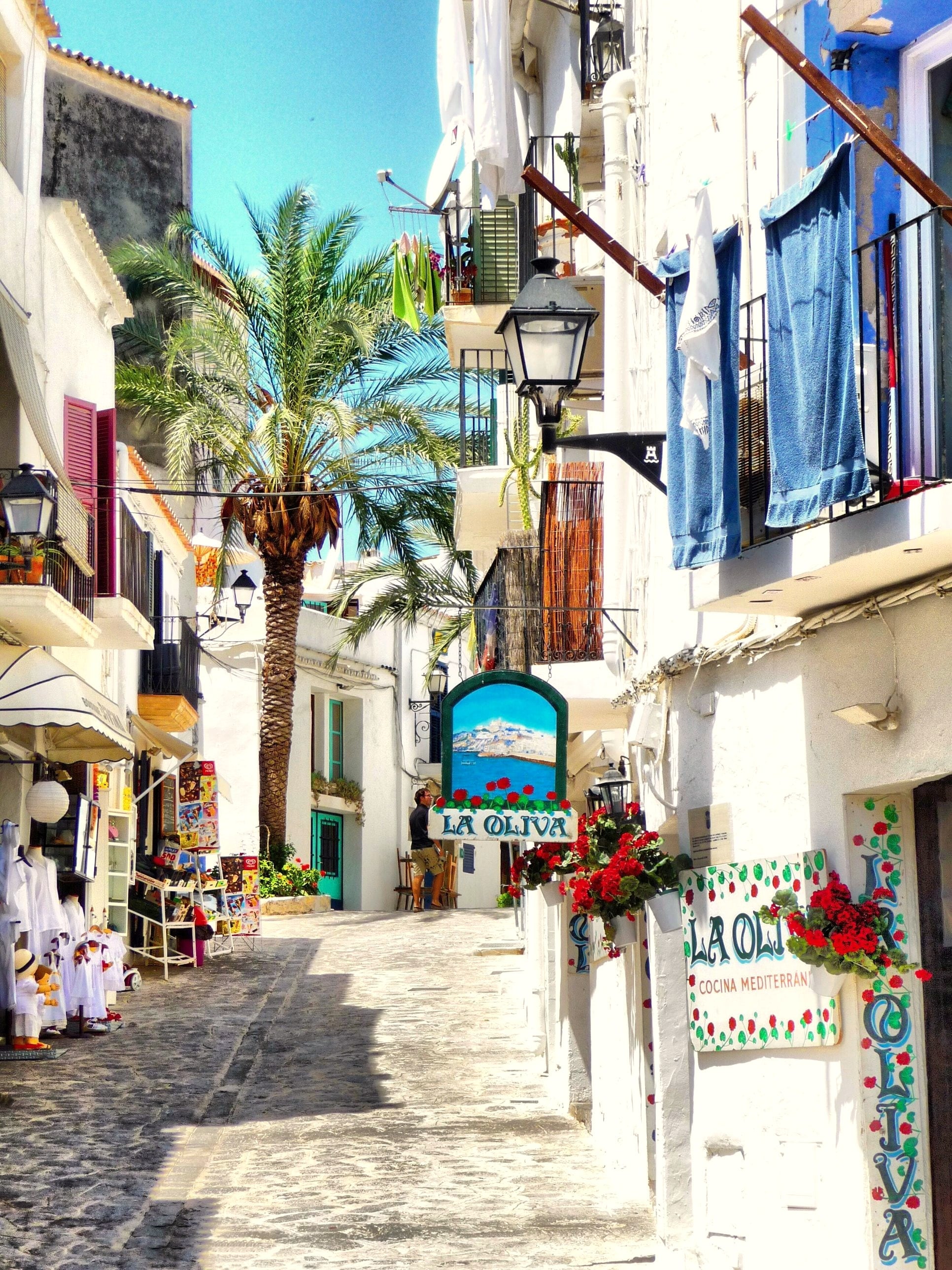 A whitewashed street in Ibiza with a palm tree